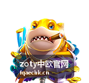 zoty中欧官网合作方沟通记录场景